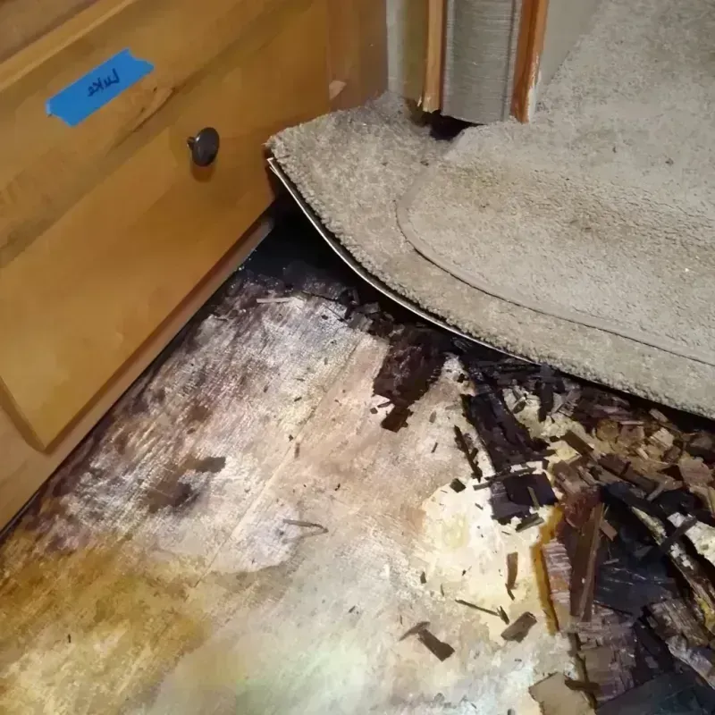 Best Wood Floor Water Damage Service in Sioux County, NE